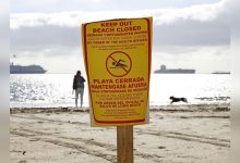 Swimming areas in Long Beach shut down as precaution after sewage leaked into the water